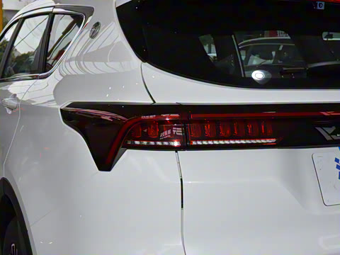 2025�� �ھ��� 1.5T �ֶ��ھ� 5��