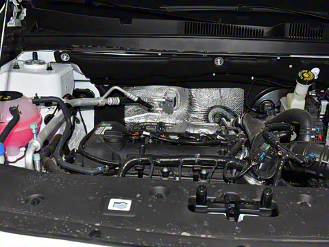 2025�� �ھ��� 1.5T �ֶ��ھ� 5��