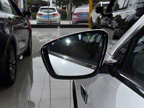 2025�� �ھ��� 1.5T �ֶ��ھ� 5��