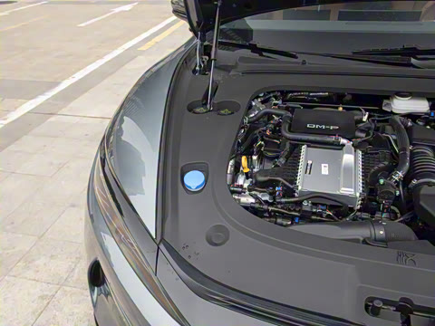 2025�� DM-p ���������״��콢��