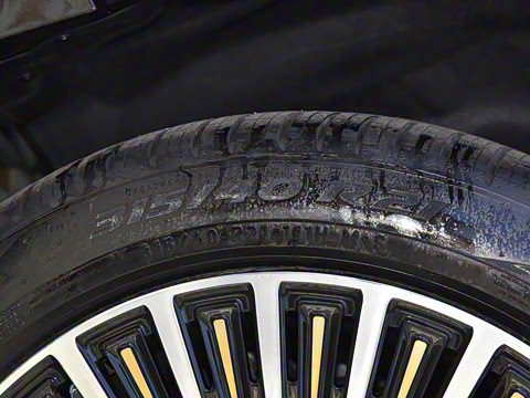 2025�� ������