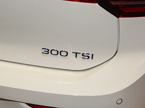 2025�� 300TSI Pro