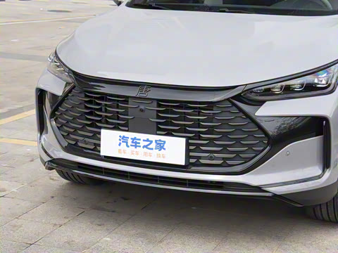 2025�� �Ǽݰ� DM-i 115KM �����