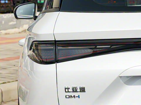 2025�� DM-i �Ǽݰ� 75KM������