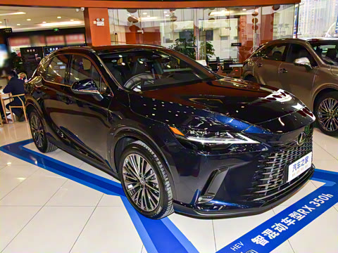 2025�� 350h ����������