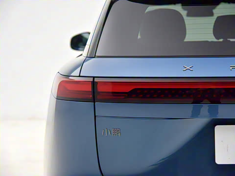 2025�� 625 ������ Max