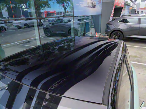 2024�� 205km ������