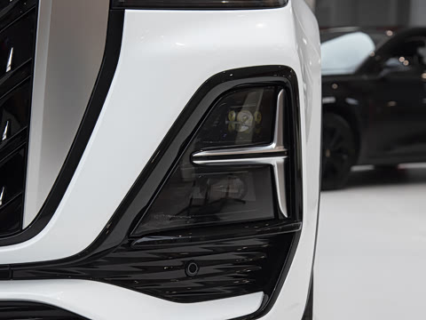 2025�� 2.0T ��������Pro��