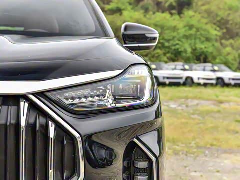 2024�� �ھ��� 1.5T �ֶ��ھ� 5��