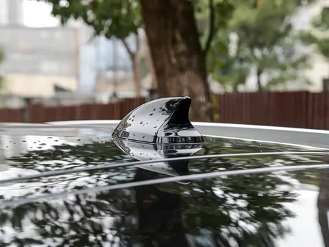 2025�� �Ǽݰ� DM-i 115KM �����