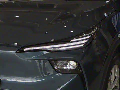 2025�� 565km ������