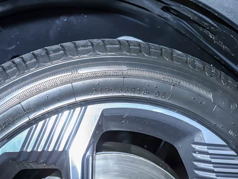 2025�� Renew 1.5T Pro