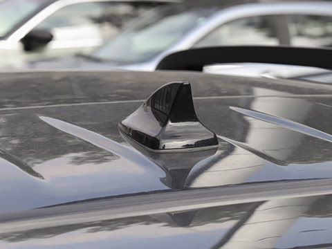 2025�� ɳ���ر�� ����