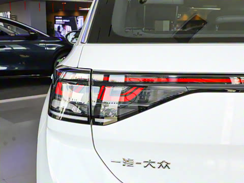 2025�� �Ŀ� 300TSI DSG���������