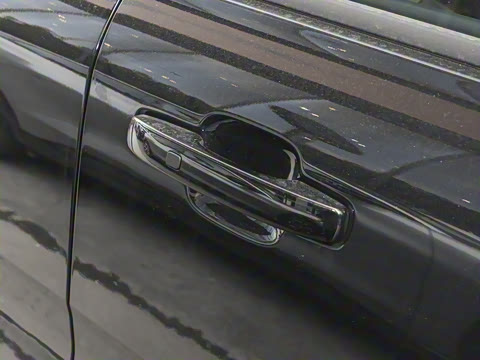 2025�� ɳ���ر�� ����