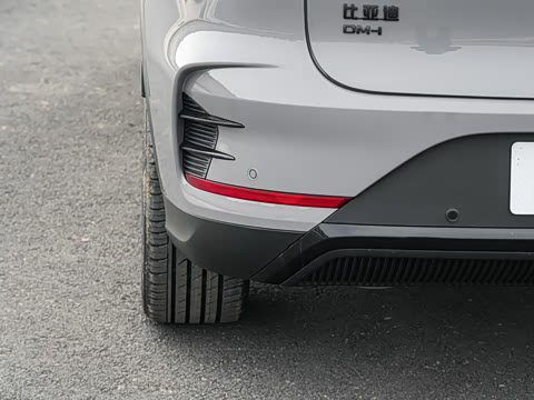 2025�� �Ǽݰ� DM-i 115KM �콢��