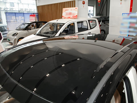 2025�� 333km ��Ϭ������