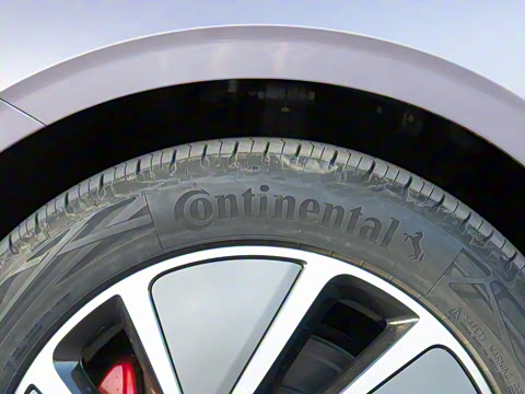 2025�� ���� Max ����������ʻ