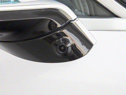 2025�� EV ����������