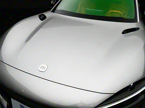 2025�� ������������������Max��