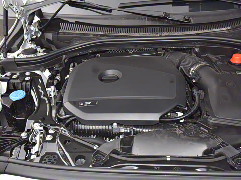 2025�� 225L M�˶���װ