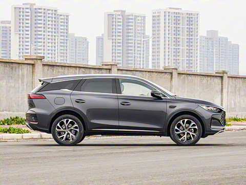 2025�� �Ǽݰ� DM-i 115KM ������