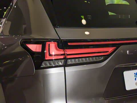 2025�� 700h ��;��