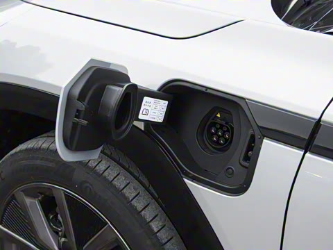 2025�� ����������Max