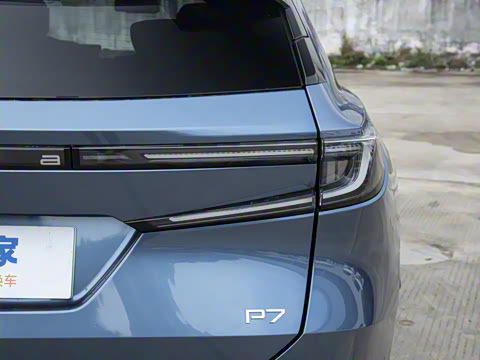 2025�� ����������Max