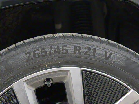 2025�� ����������Max