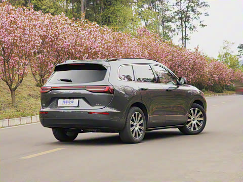 2024�� 1.5T �Ǽ�����Pro�� 5��