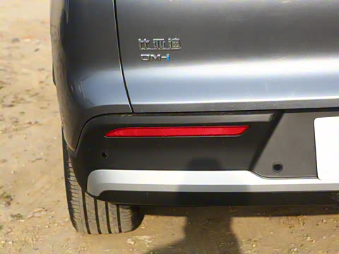 2025�� �ڶ��� �Ǽݰ� DM-i 115KM׿Խ��