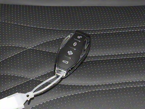 2025�� 2.0T ��������Pro��