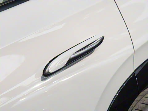 2025�� 730 Max������