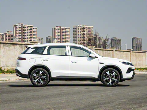 2025�� �ڶ��� �Ǽݰ� DM-i 115KM׿Խ��