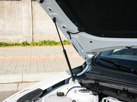 2025�� �ڶ��� �Ǽݰ� DM-i 115KM׿Խ��