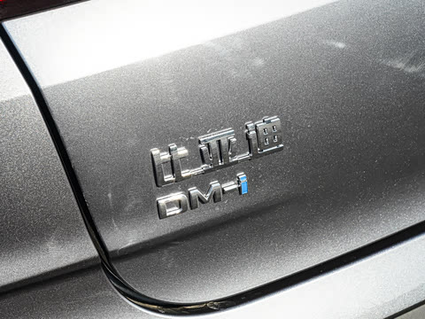 2025�� DM-i �Ǽݰ� 120KM������