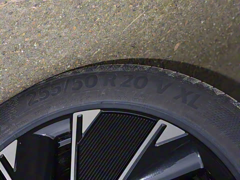 2024�� Max���������