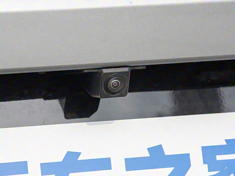 2025�� ���� 265 Max��������������ʻ