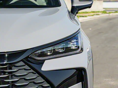 2025�� �Ǽݰ� DM-i 115KM ������