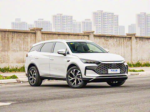 2025�� �Ǽݰ� DM-i 115KM ������