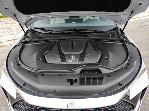 2025�� �Ǽݰ� DM-i 115KM ������