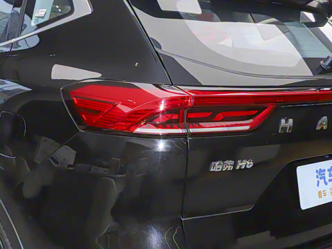 2023�� ������ 1.5T �Զ��ھ���