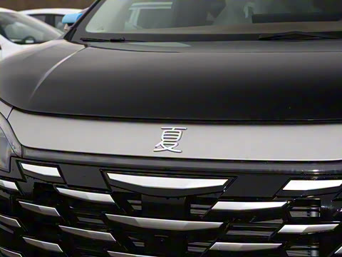 2025�� DM-i 1.5T 100km ������