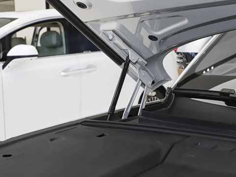 2025�� ������