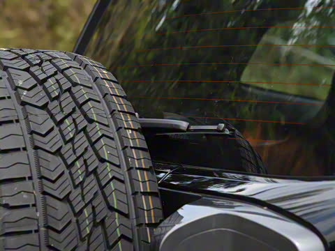 2024�� ����������