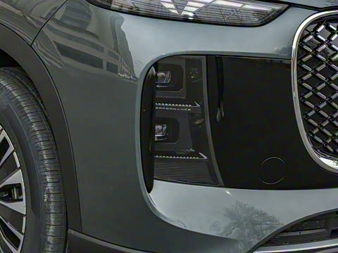 2025�� 1.5T 116km ������ 5��