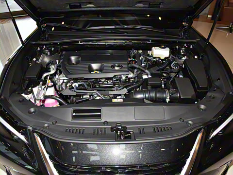 2025�� 300h ������