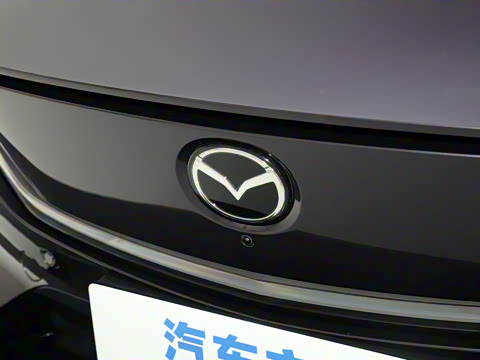 2025�� ����600 Max