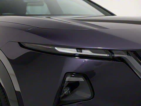 2025�� ����600 Max